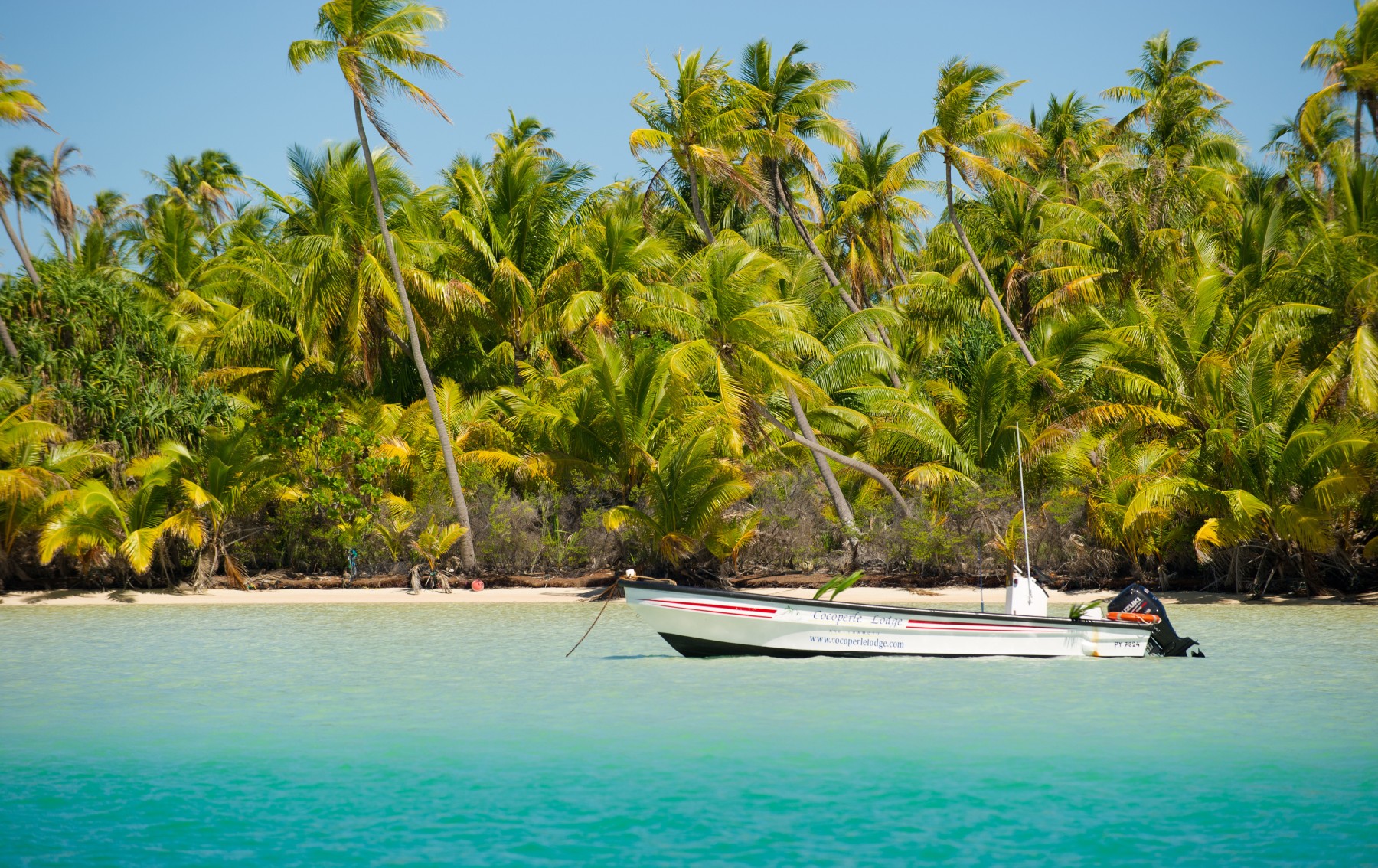 Pension Cocoperle Lodge